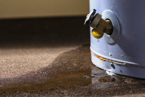 Local water damage restoration in Palmview, TX