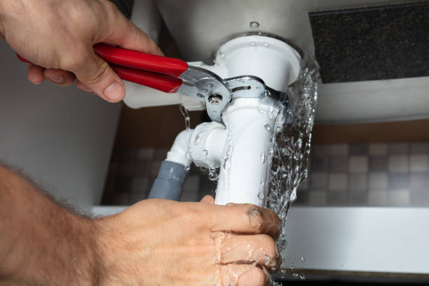 Best Sewage cleanup and water damage restoration  in Palmview, TX