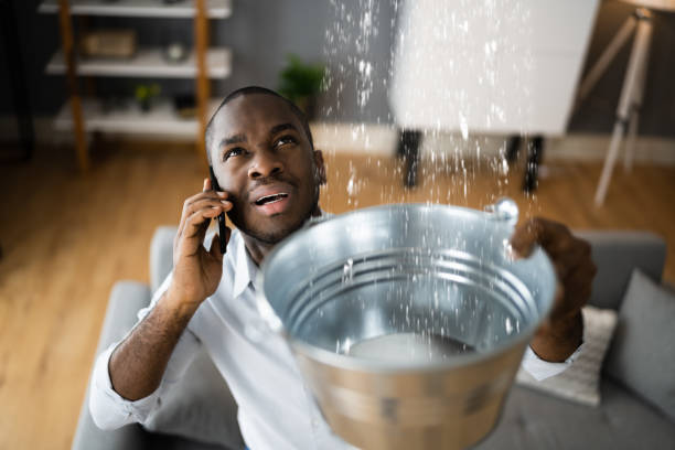 Best Basement water damage restoration  in Palmview, TX