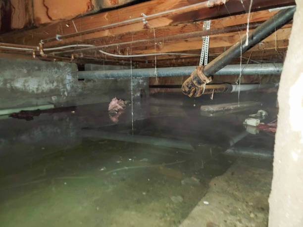 Sewage cleanup and water damage restoration in Palmview, TX