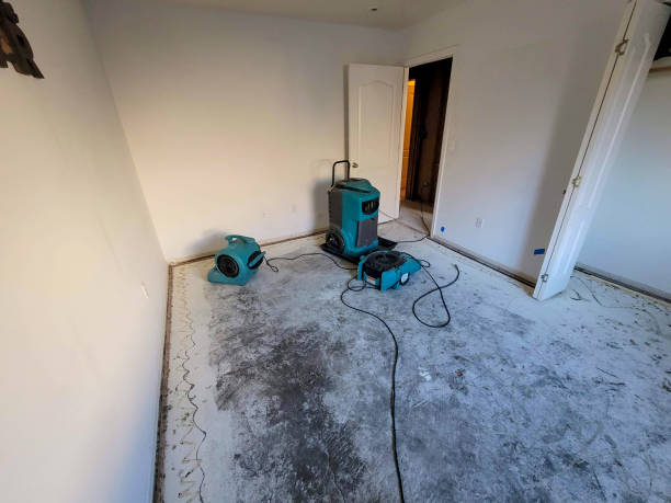 Best Water damage restoration specialists  in Palmview, TX