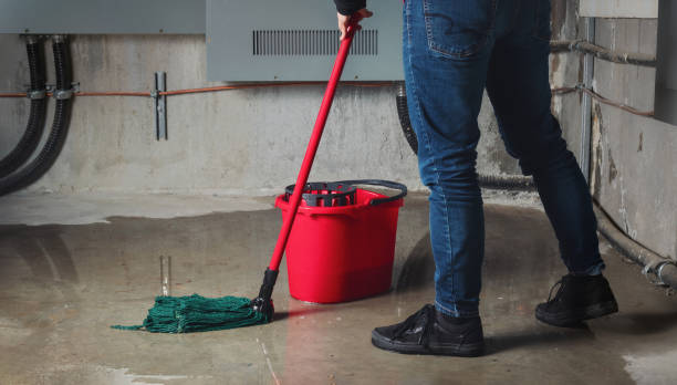 Water damage restoration mold remediation in Palmview, TX