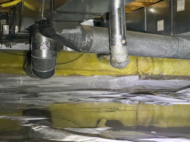 Water damage restoration experts in Palmview, TX
