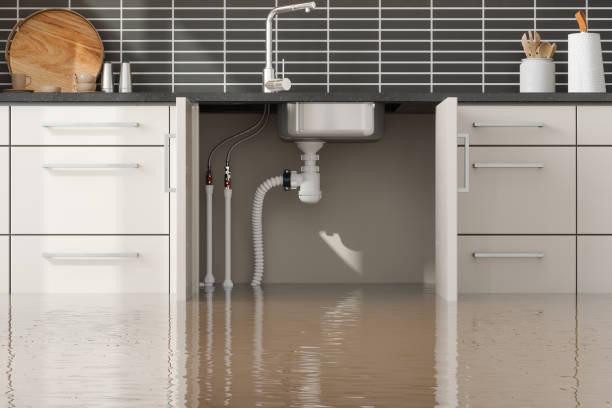 Best Water damage restoration near me  in Palmview, TX
